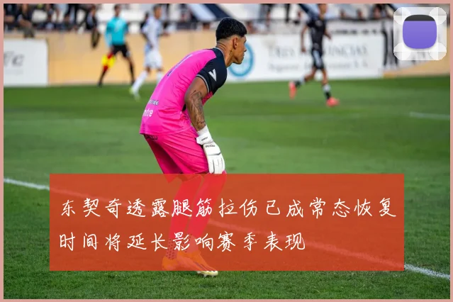东契奇透露腿筋拉伤已成常态恢复时间将延长影响赛季表现