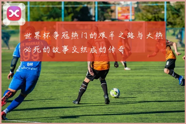 世界杯争冠热门的艰辛之路与大热必死的故事交织成的传奇